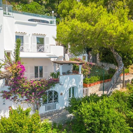 Faraglionensis Monaconehouse Villa 卡普里 外观 照片